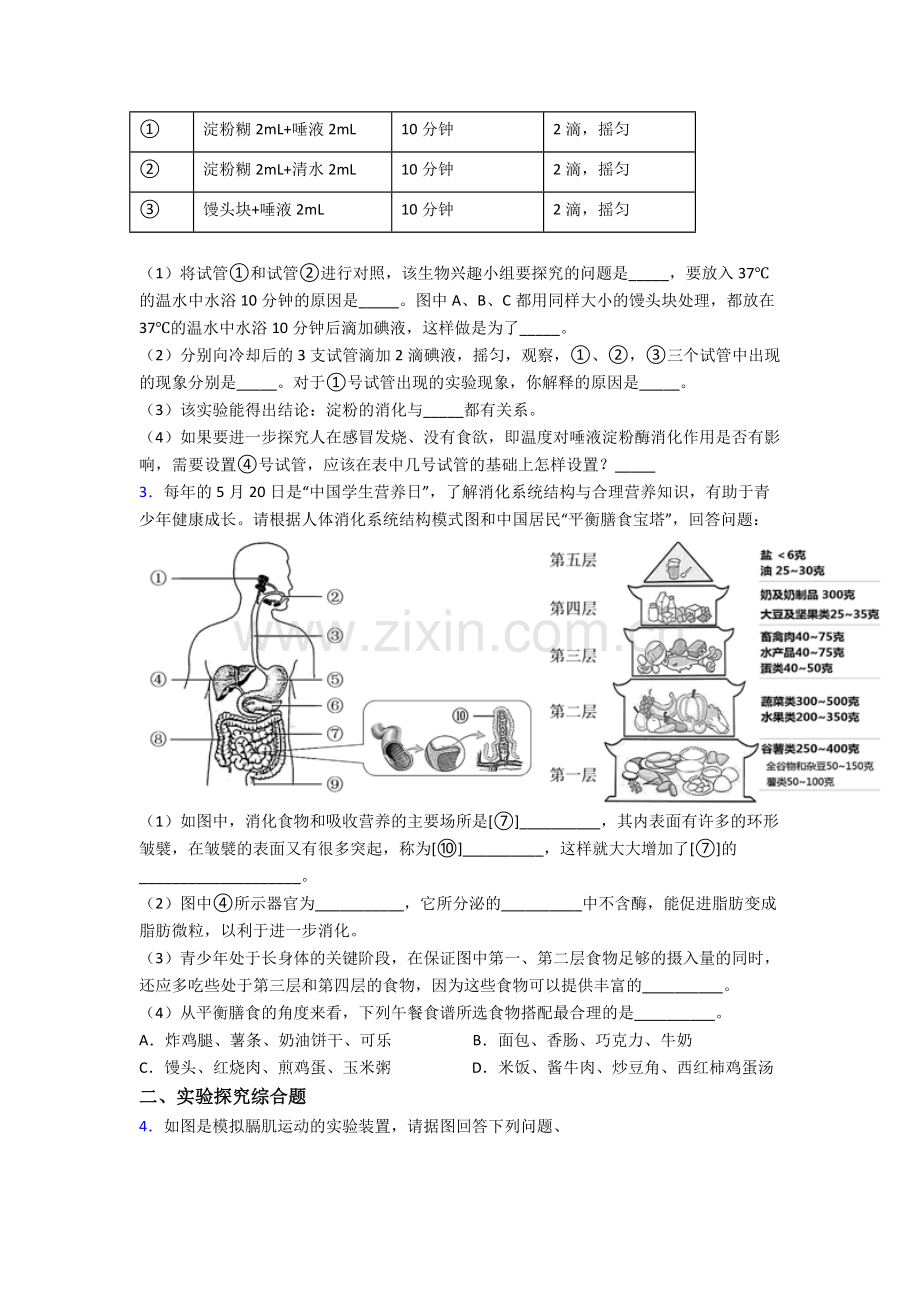 生物新人教版七年级下册期末综合题实验探究题试卷期末综合探究题模拟试卷及答案.doc_第2页
