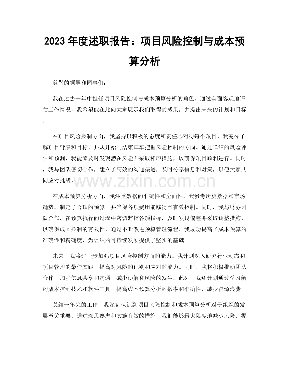 2023年度述职报告：项目风险控制与成本预算分析.docx_第1页