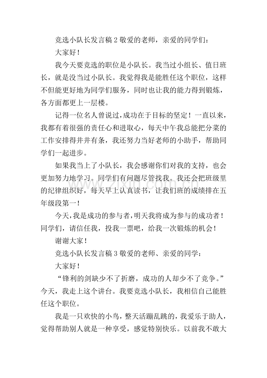 竞选小队长发言稿.doc_第2页
