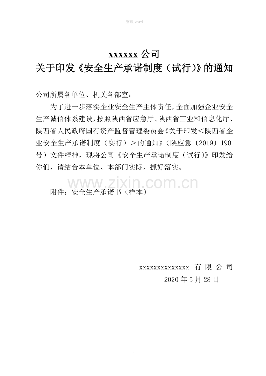 安全生产承诺制度(试行).doc_第1页