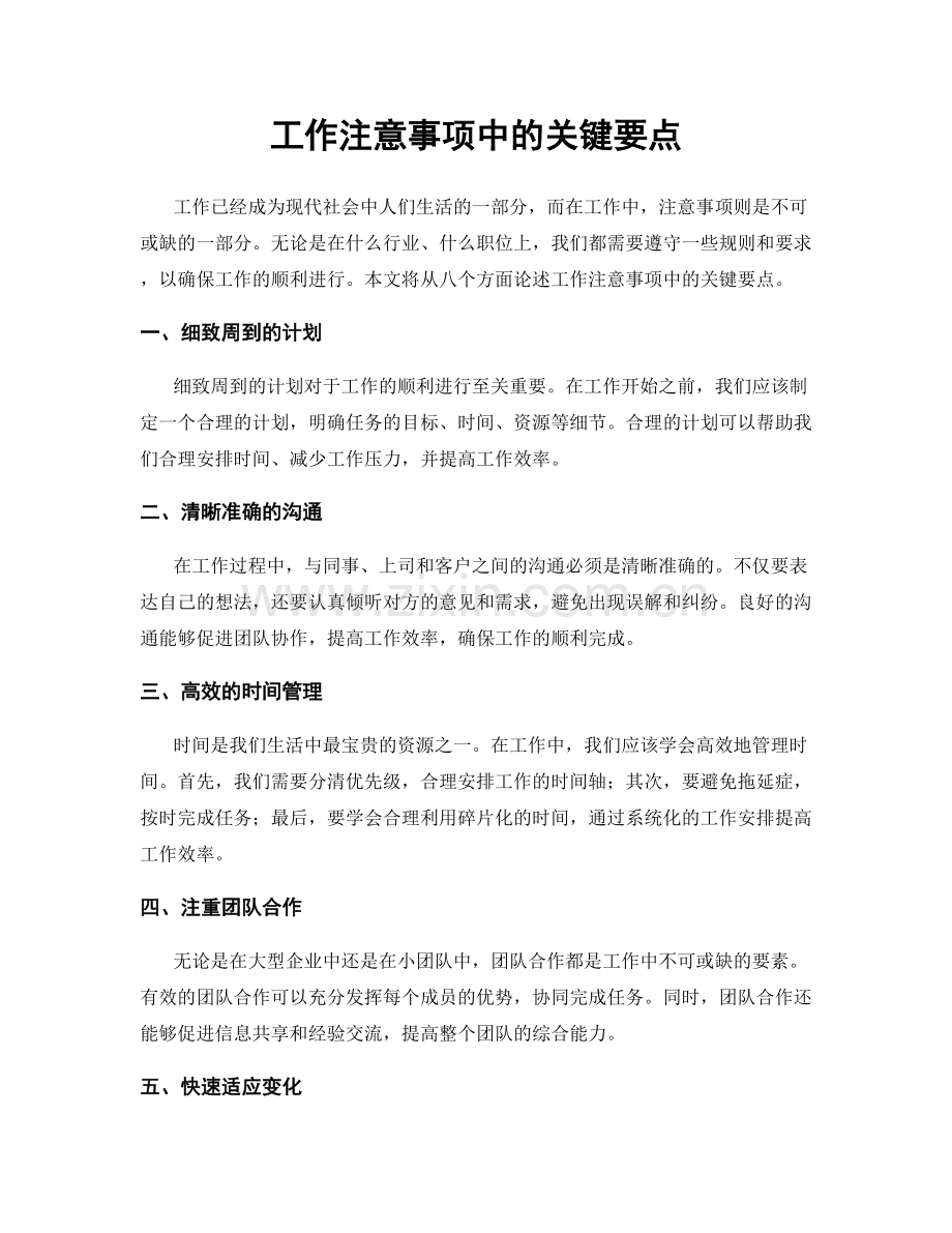 工作注意事项中的关键要点.docx_第1页