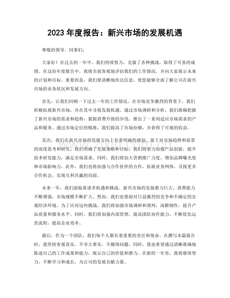 2023年度报告：新兴市场的发展机遇.docx_第1页