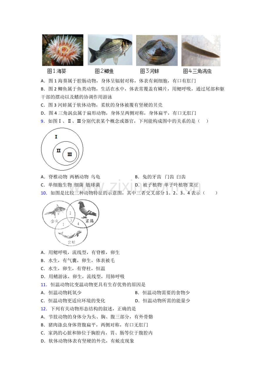 八年级上册生物期末综合题测试卷及答案.doc_第2页