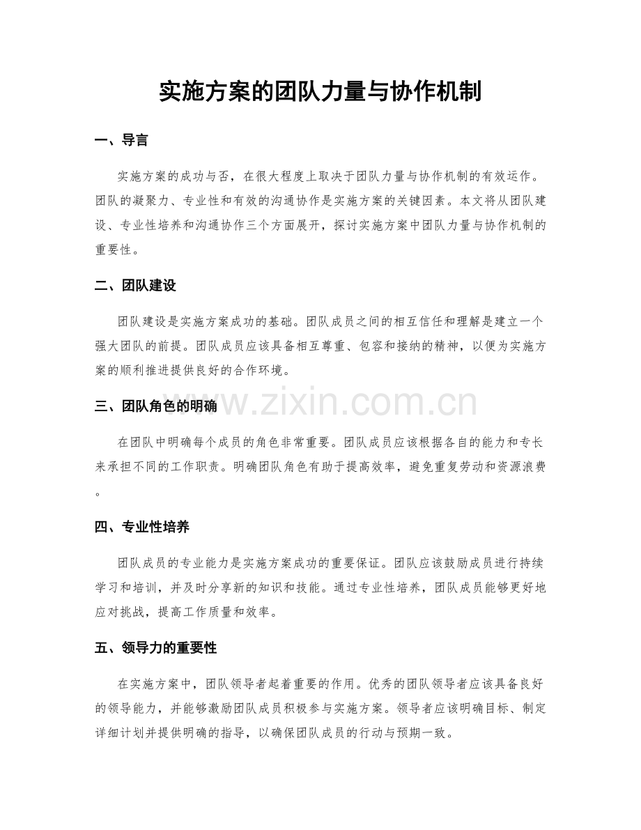 实施方案的团队力量与协作机制.docx_第1页