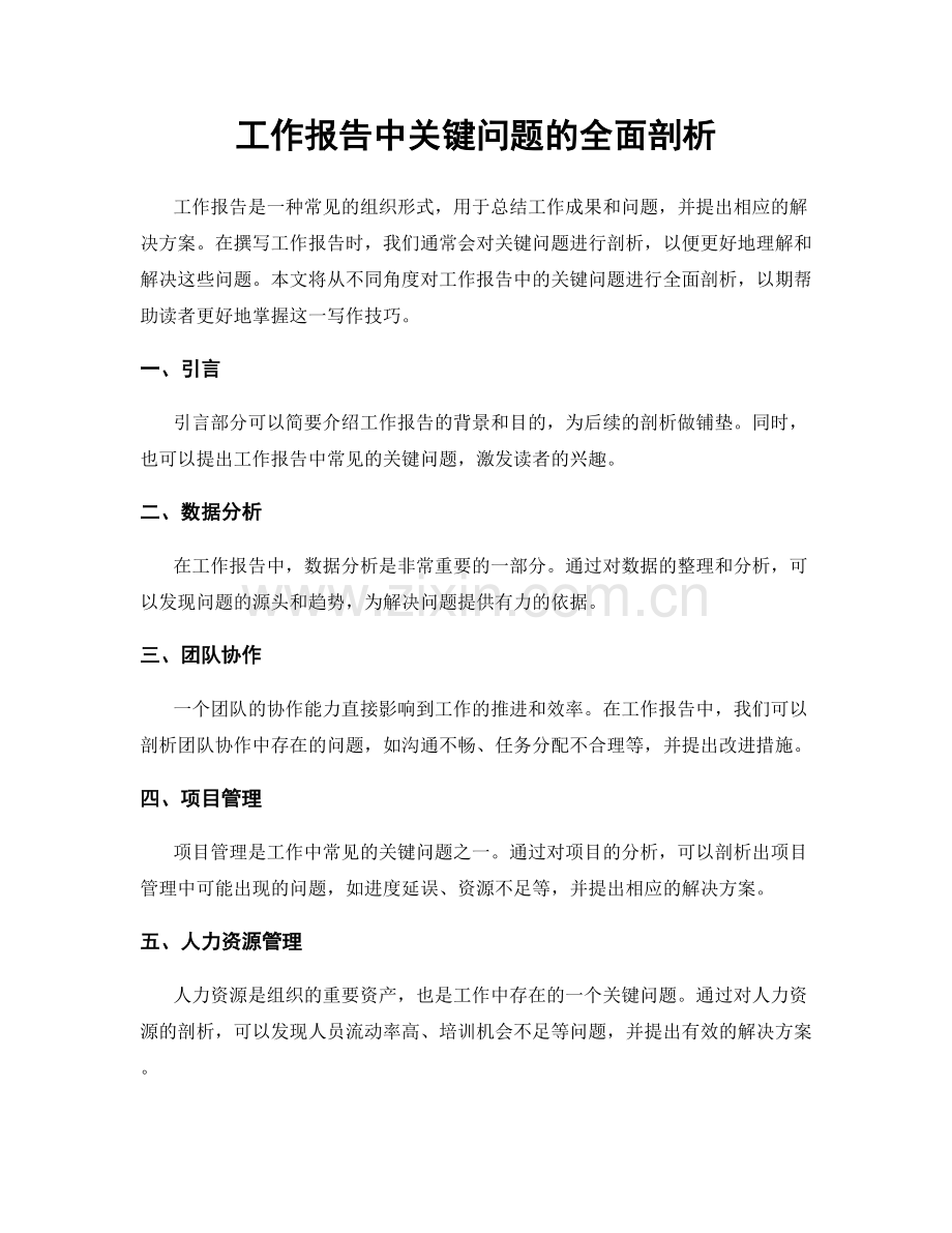 工作报告中关键问题的全面剖析.docx_第1页