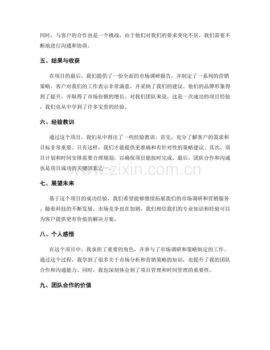 详尽的工作总结项目回顾.docx_第2页