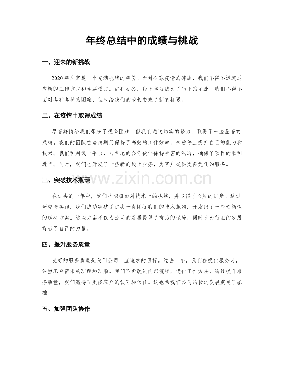 年终总结中的成绩与挑战.docx_第1页