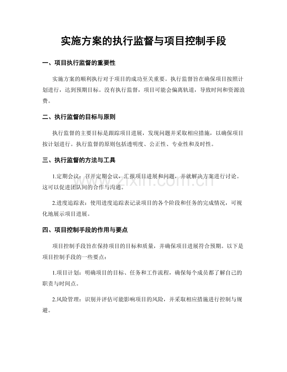 实施方案的执行监督与项目控制手段.docx_第1页