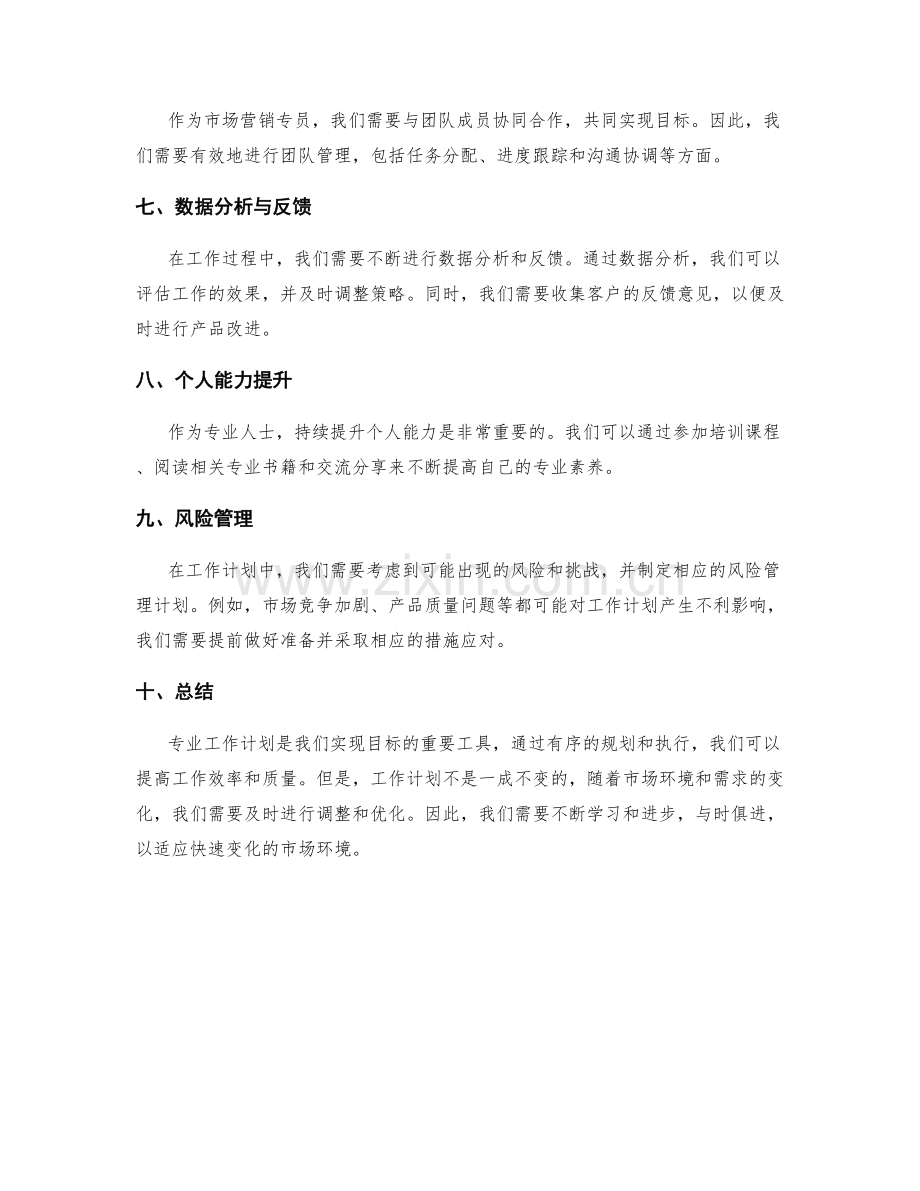 专业工作计划的模板与样例.docx_第2页