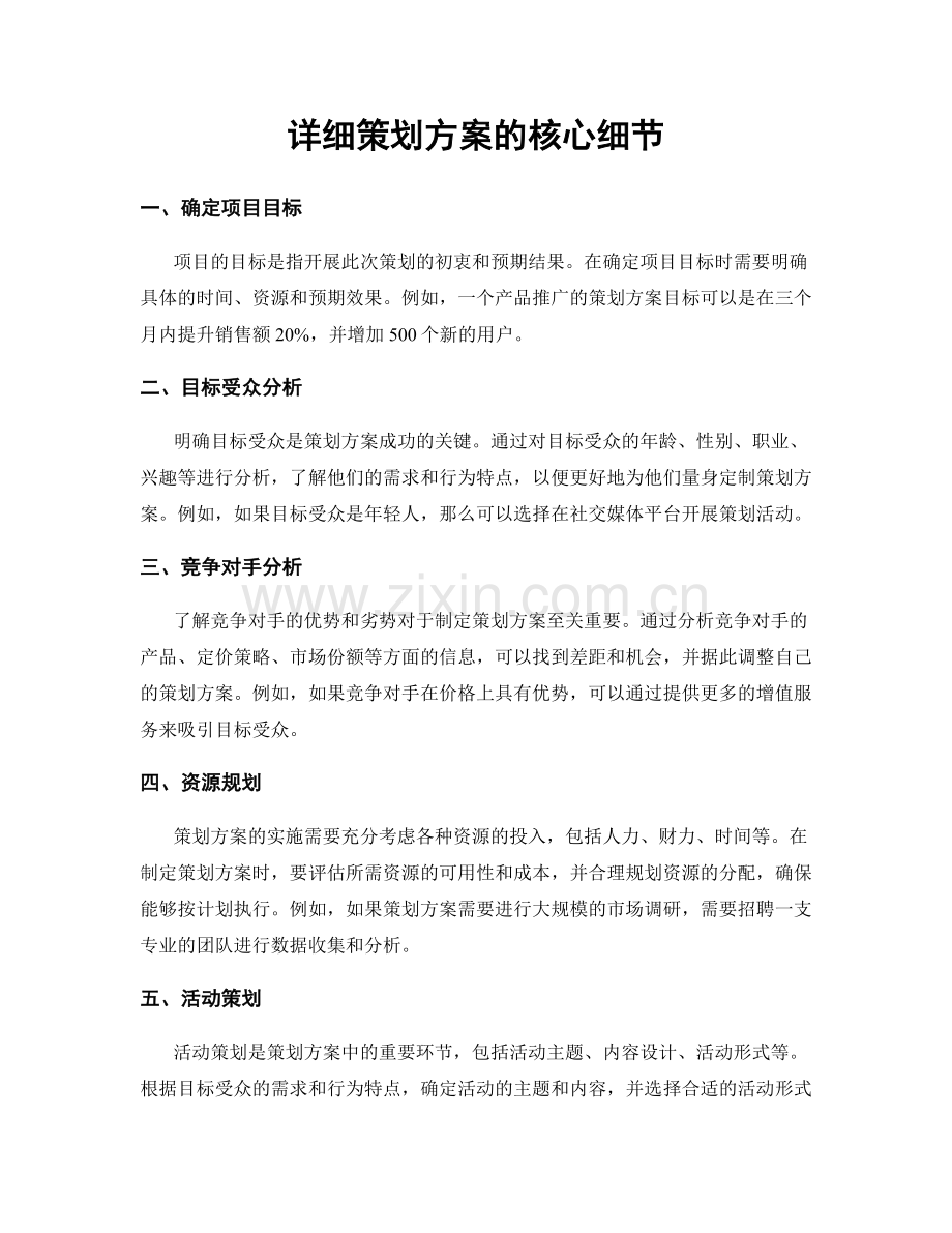 详细策划方案的核心细节.docx_第1页
