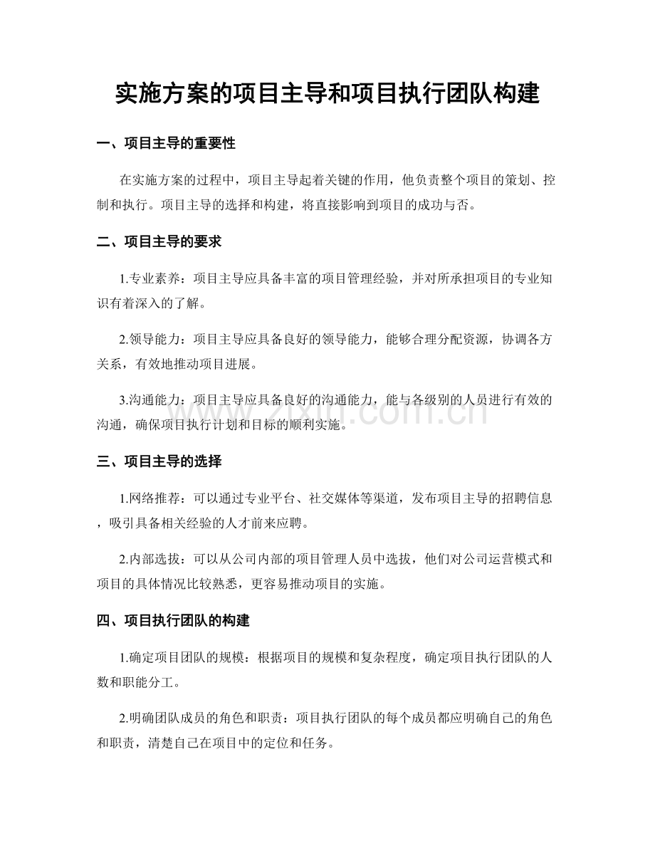实施方案的项目主导和项目执行团队构建.docx_第1页