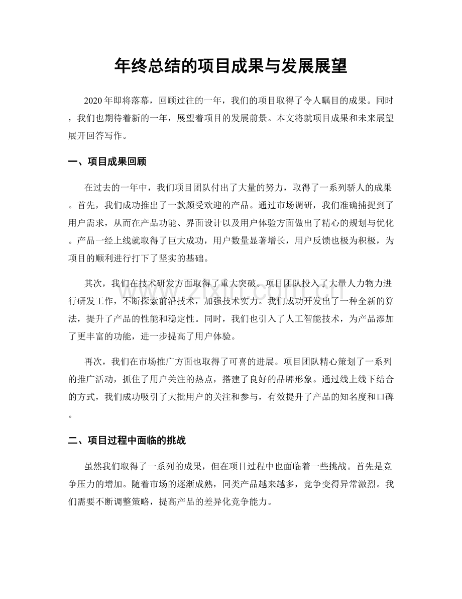 年终总结的项目成果与发展展望.docx_第1页