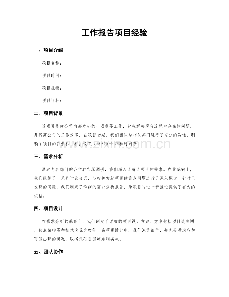 工作报告项目经验.docx_第1页