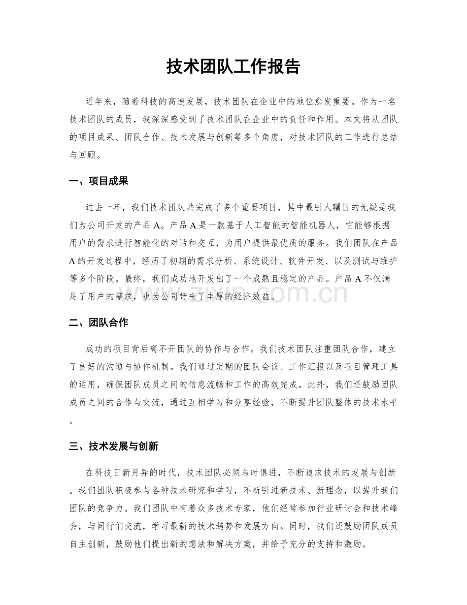 技术团队工作报告.docx_第1页