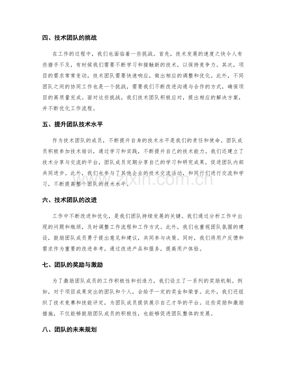 技术团队工作报告.docx_第2页