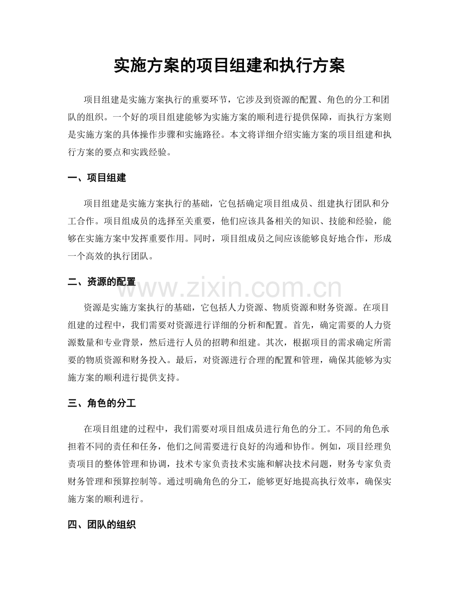 实施方案的项目组建和执行方案.docx_第1页