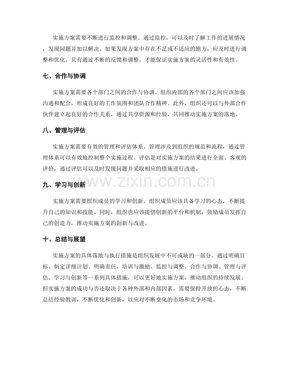 实施方案的具体落地与执行措施.docx_第2页