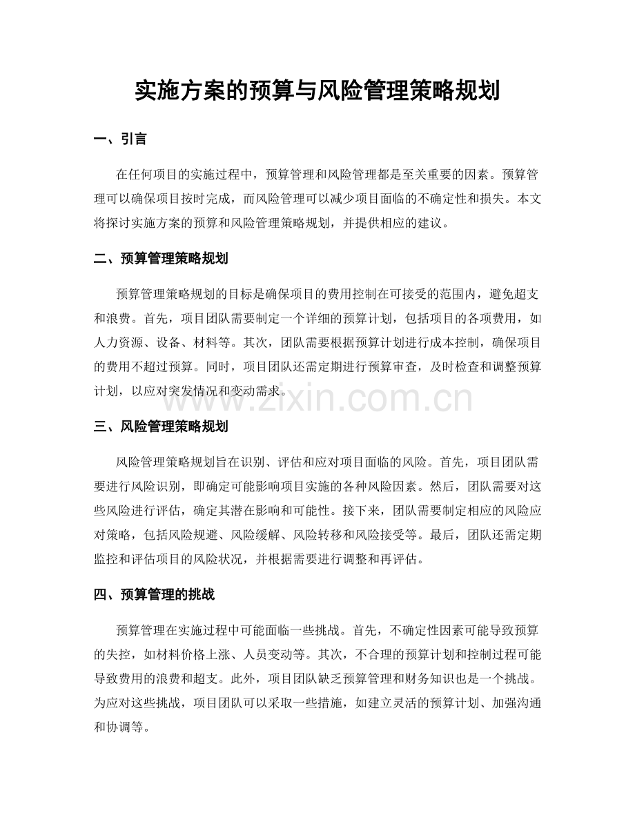 实施方案的预算与风险管理策略规划.docx_第1页