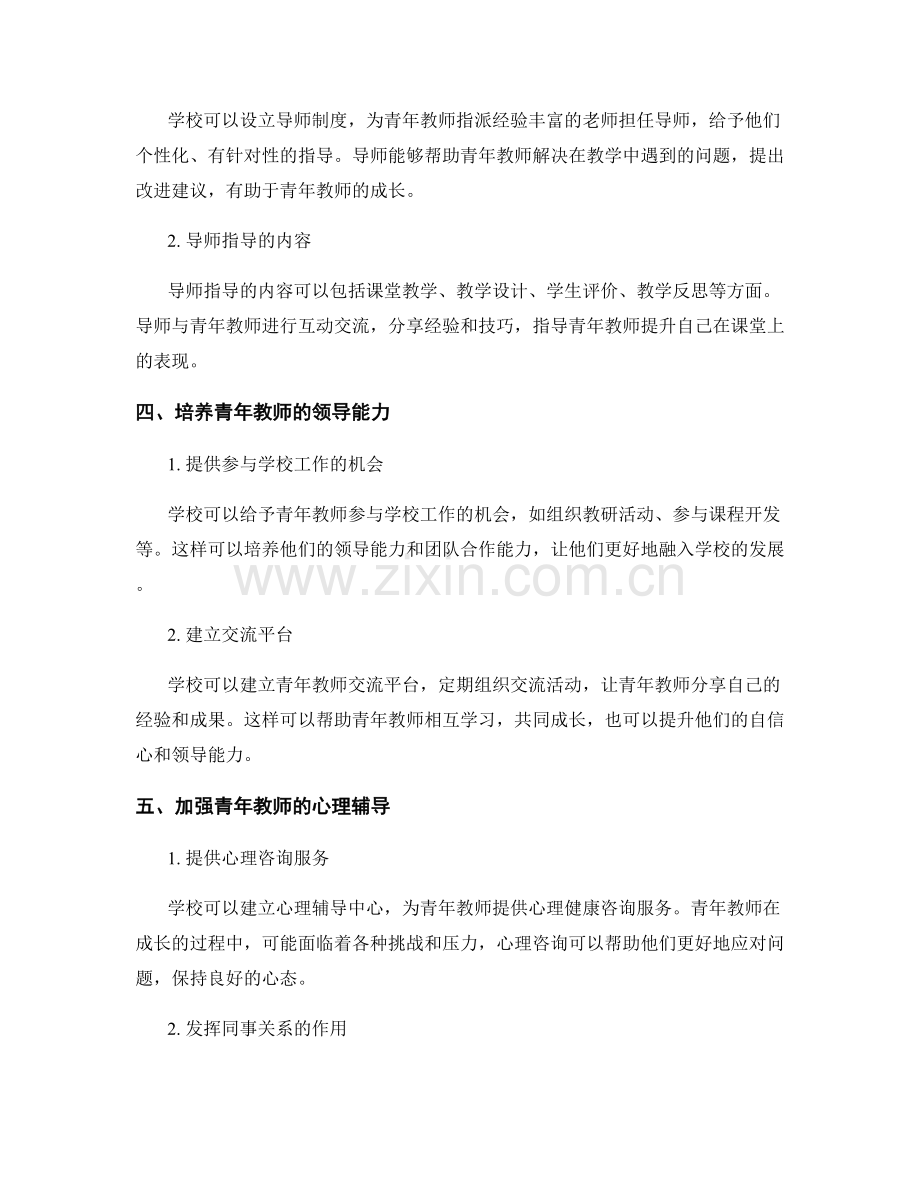 教师发展计划中的青年教师成长与指导.docx_第2页