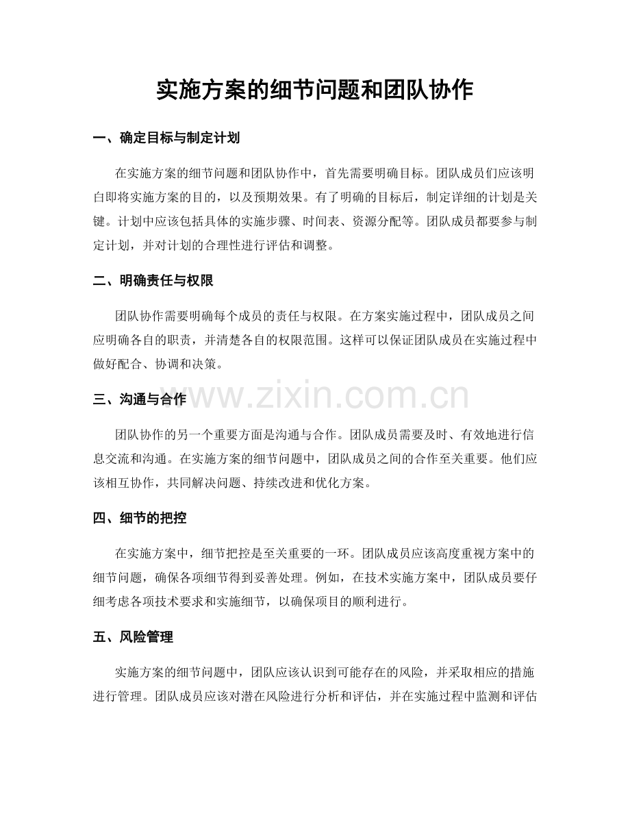 实施方案的细节问题和团队协作.docx_第1页