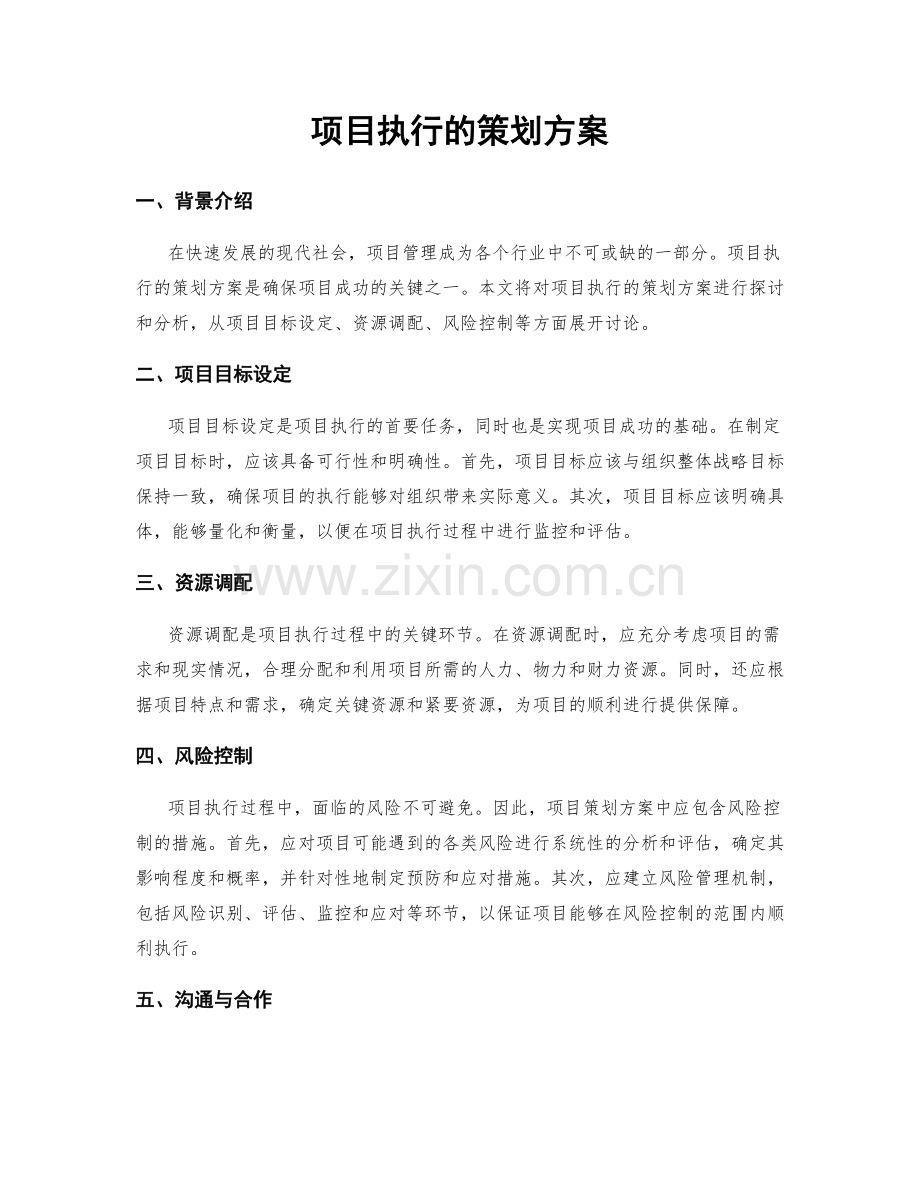 项目执行的策划方案.docx_第1页