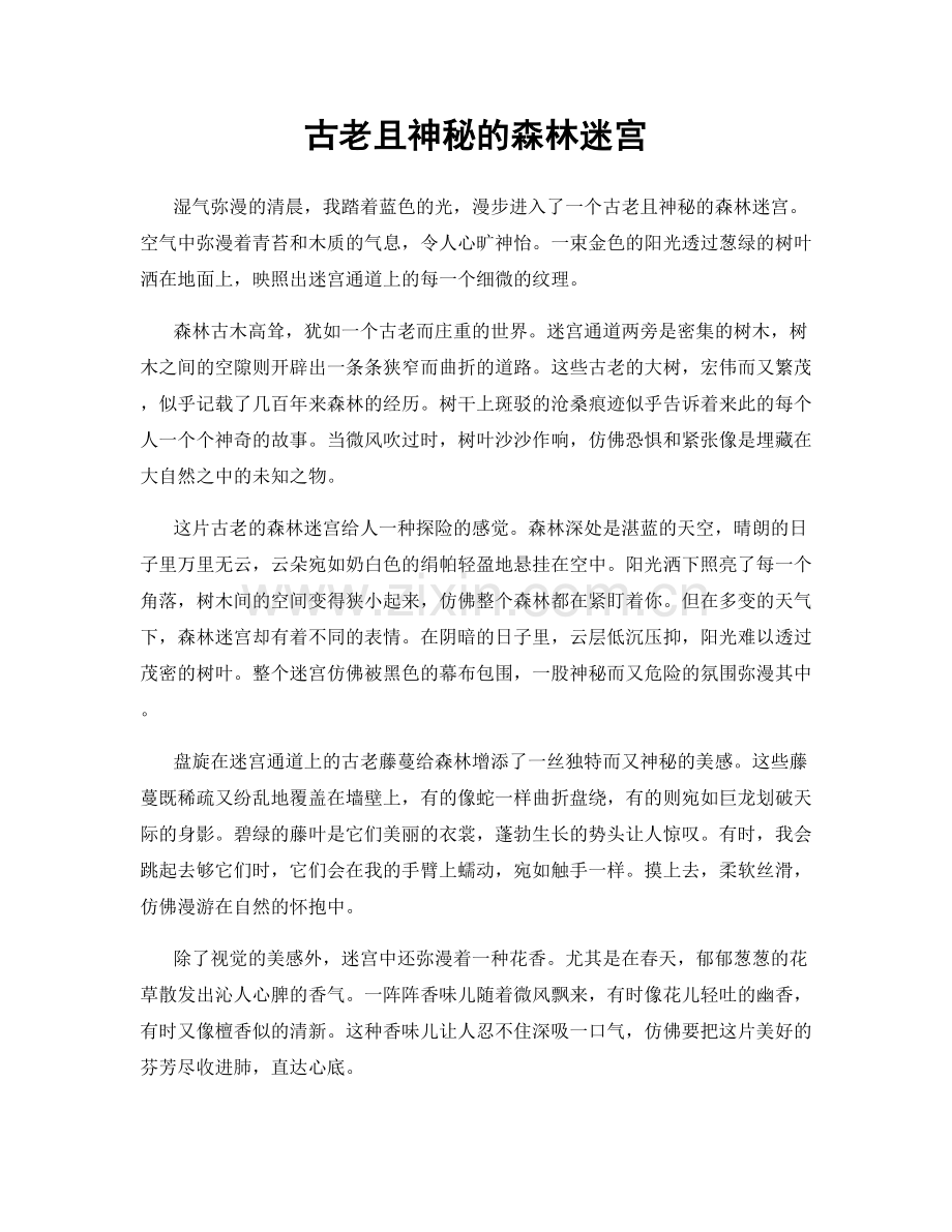 古老且神秘的森林迷宫.docx_第1页
