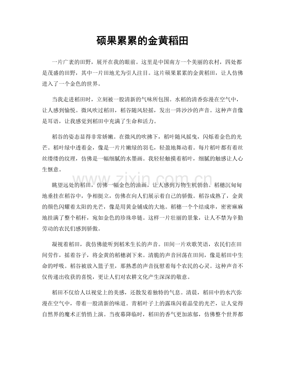 硕果累累的金黄稻田.docx_第1页