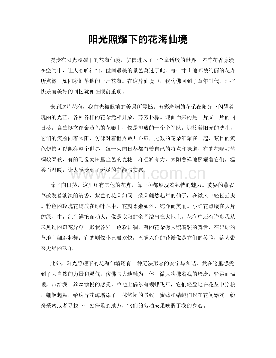 阳光照耀下的花海仙境.docx_第1页