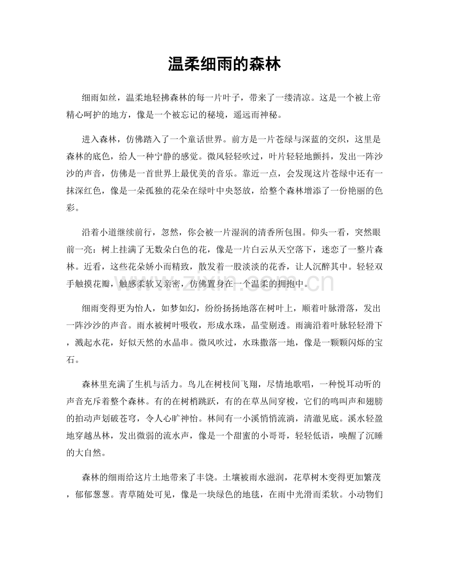 温柔细雨的森林.docx_第1页
