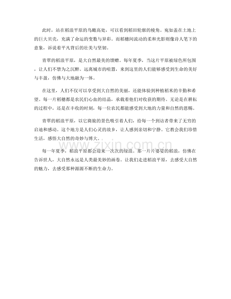 青翠的稻浪平原.docx_第2页
