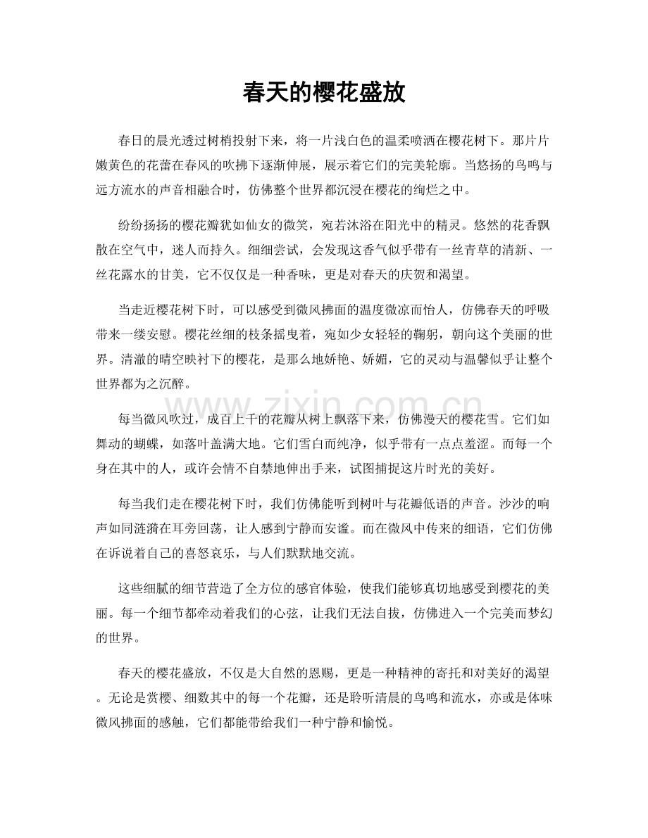 春天的樱花盛放.docx_第1页
