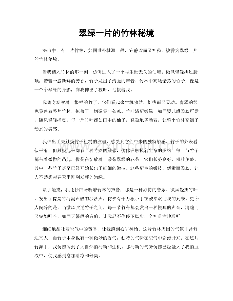 翠绿一片的竹林秘境.docx_第1页