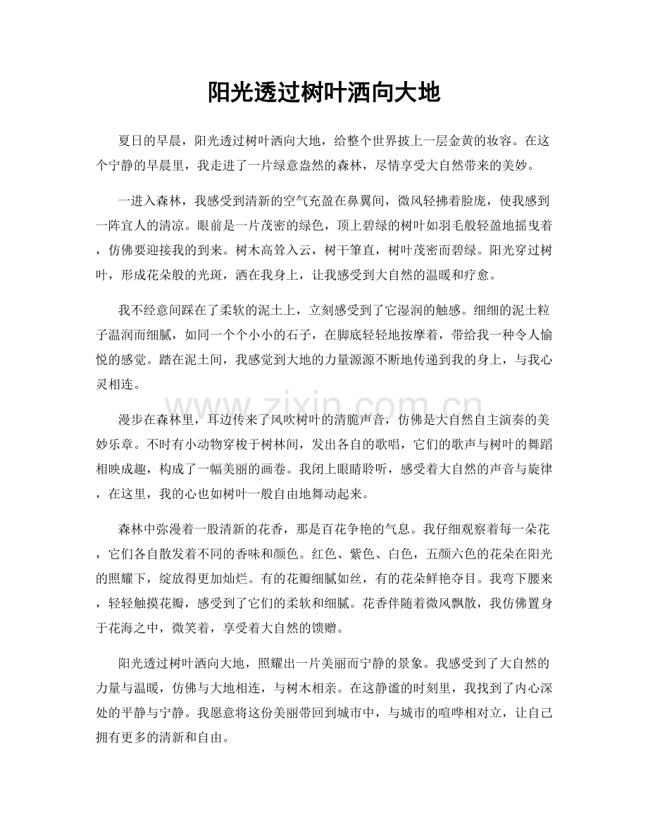 阳光透过树叶洒向大地.docx_第1页