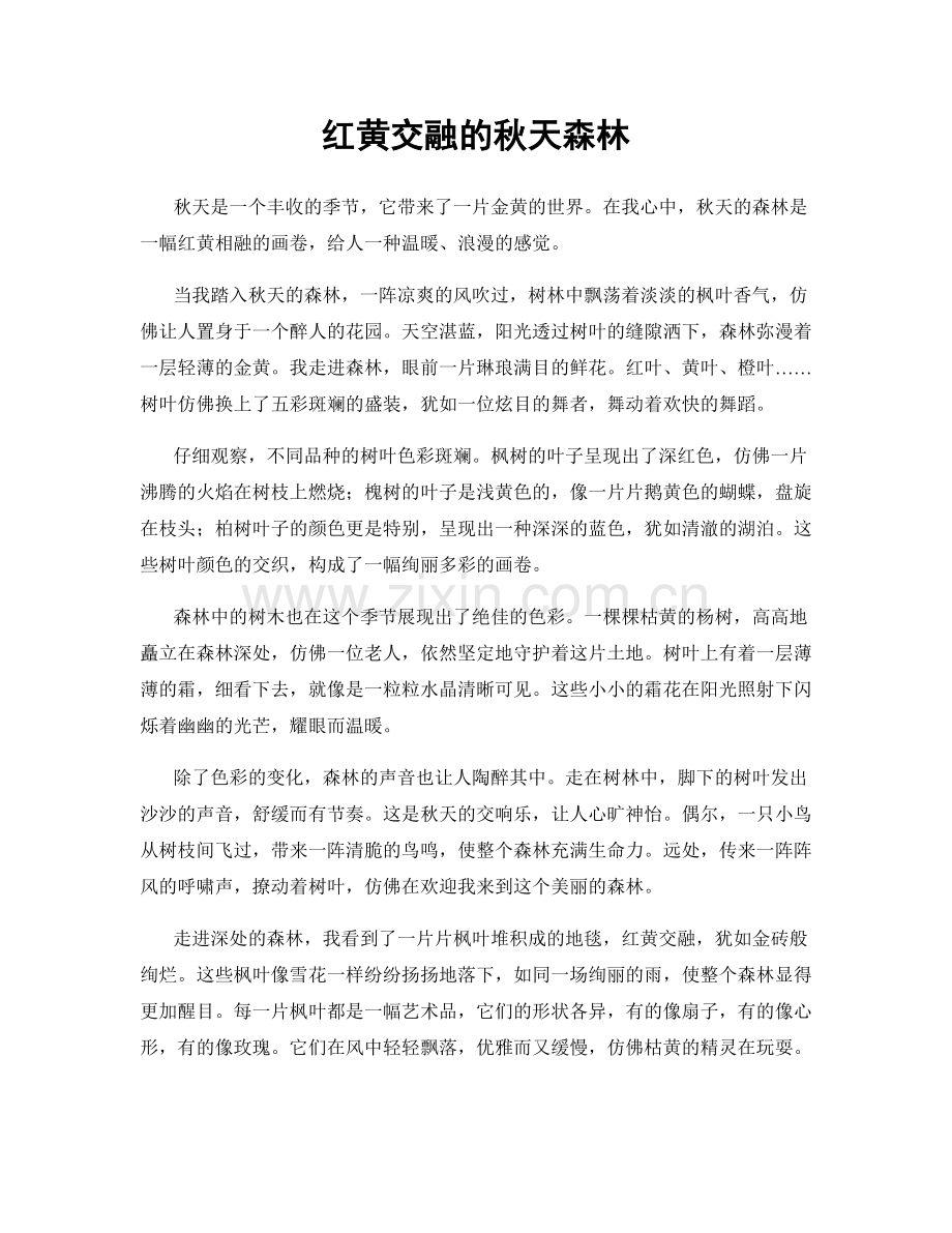 红黄交融的秋天森林.docx_第1页