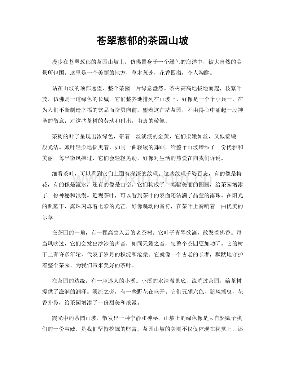 苍翠葱郁的茶园山坡.docx_第1页