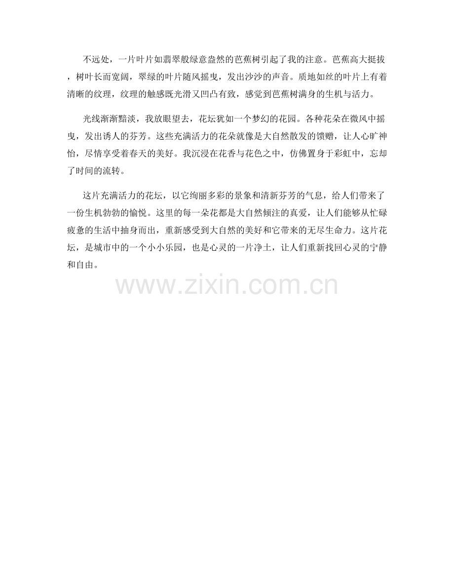 充满活力的花坛.docx_第2页