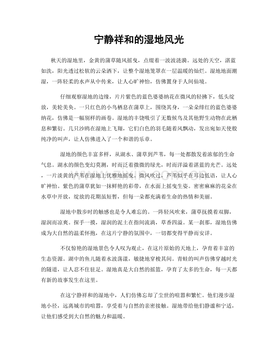 宁静祥和的湿地风光.docx_第1页