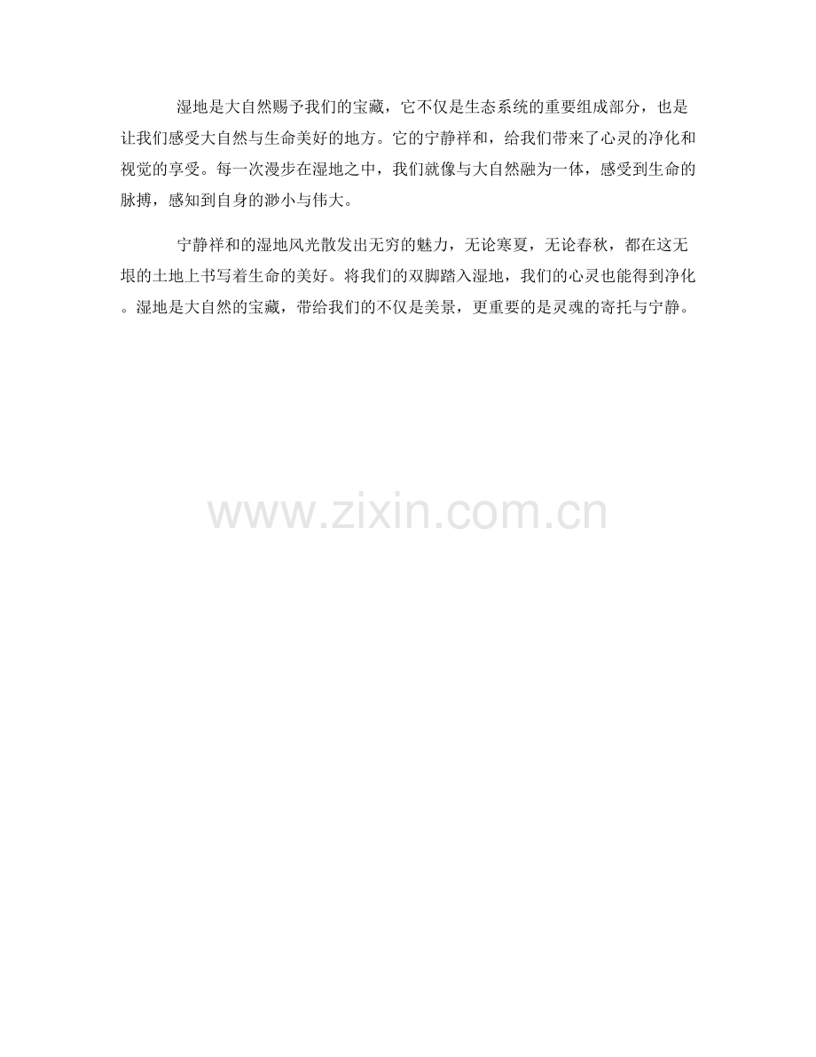 宁静祥和的湿地风光.docx_第2页