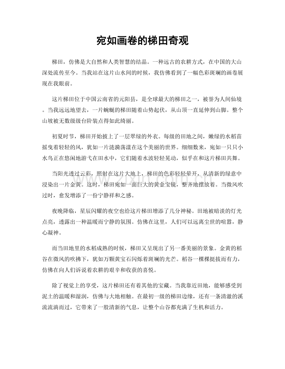 宛如画卷的梯田奇观.docx_第1页