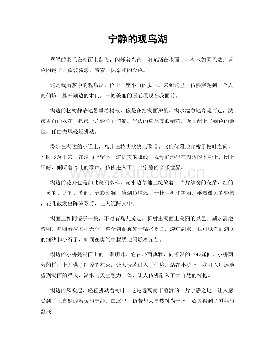 宁静的观鸟湖.docx_第1页