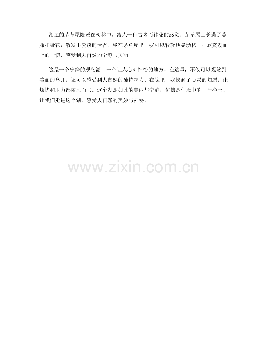 宁静的观鸟湖.docx_第2页