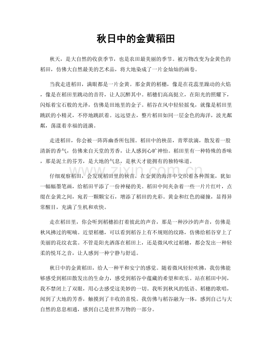 秋日中的金黄稻田.docx_第1页