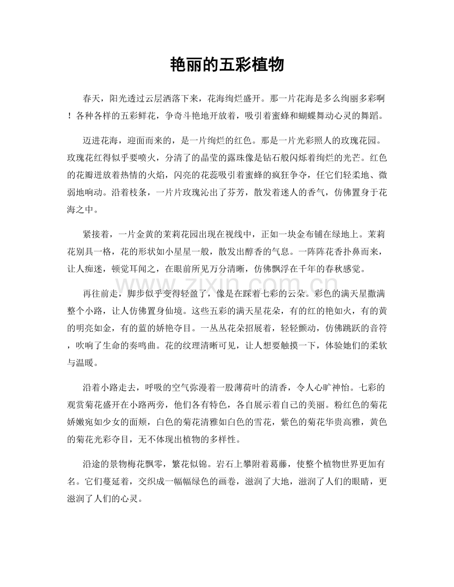 艳丽的五彩植物.docx_第1页