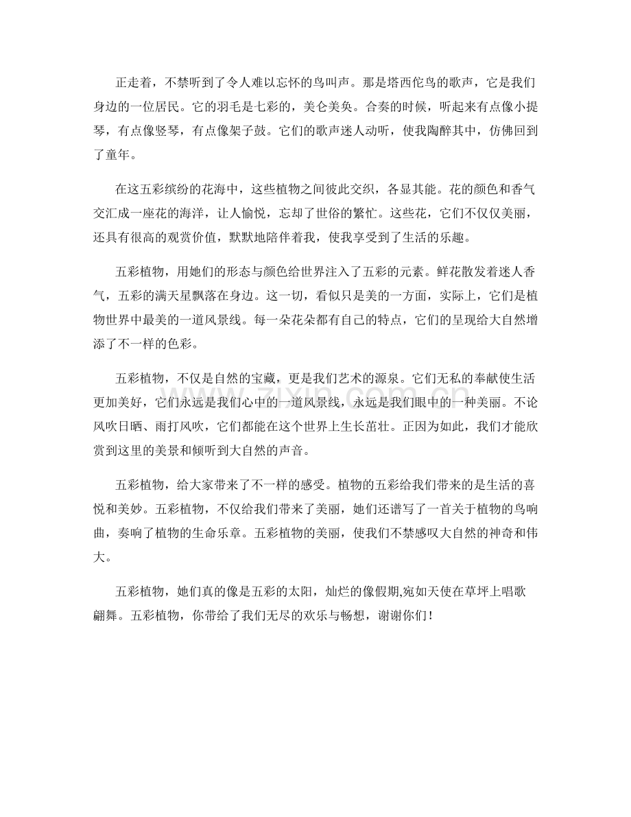 艳丽的五彩植物.docx_第2页