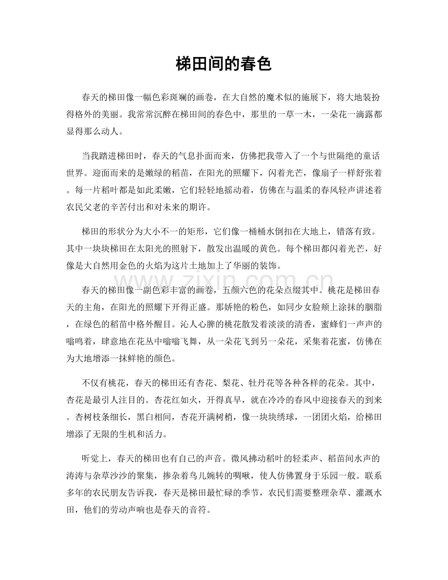 梯田间的春色.docx_第1页