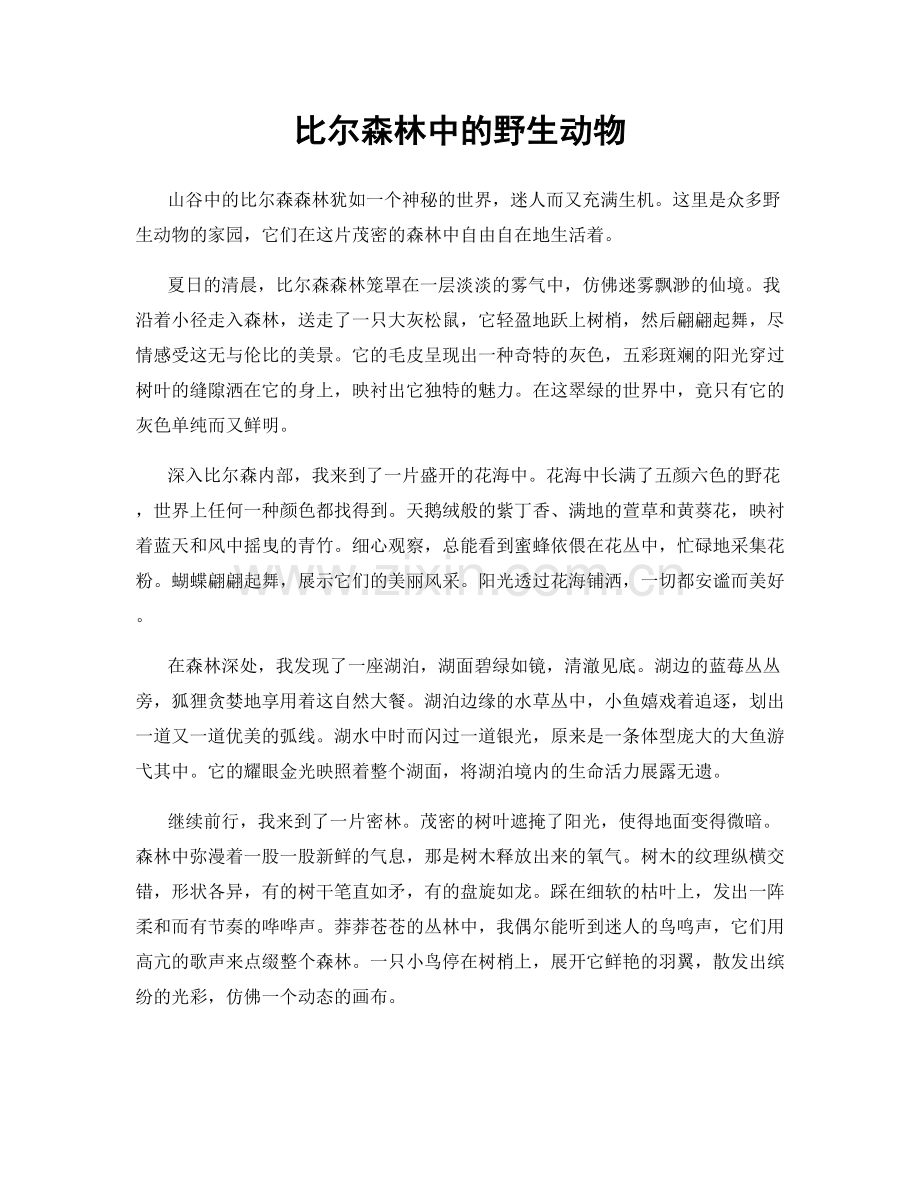 比尔森林中的野生动物.docx_第1页