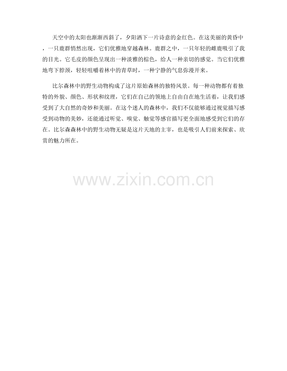 比尔森林中的野生动物.docx_第2页