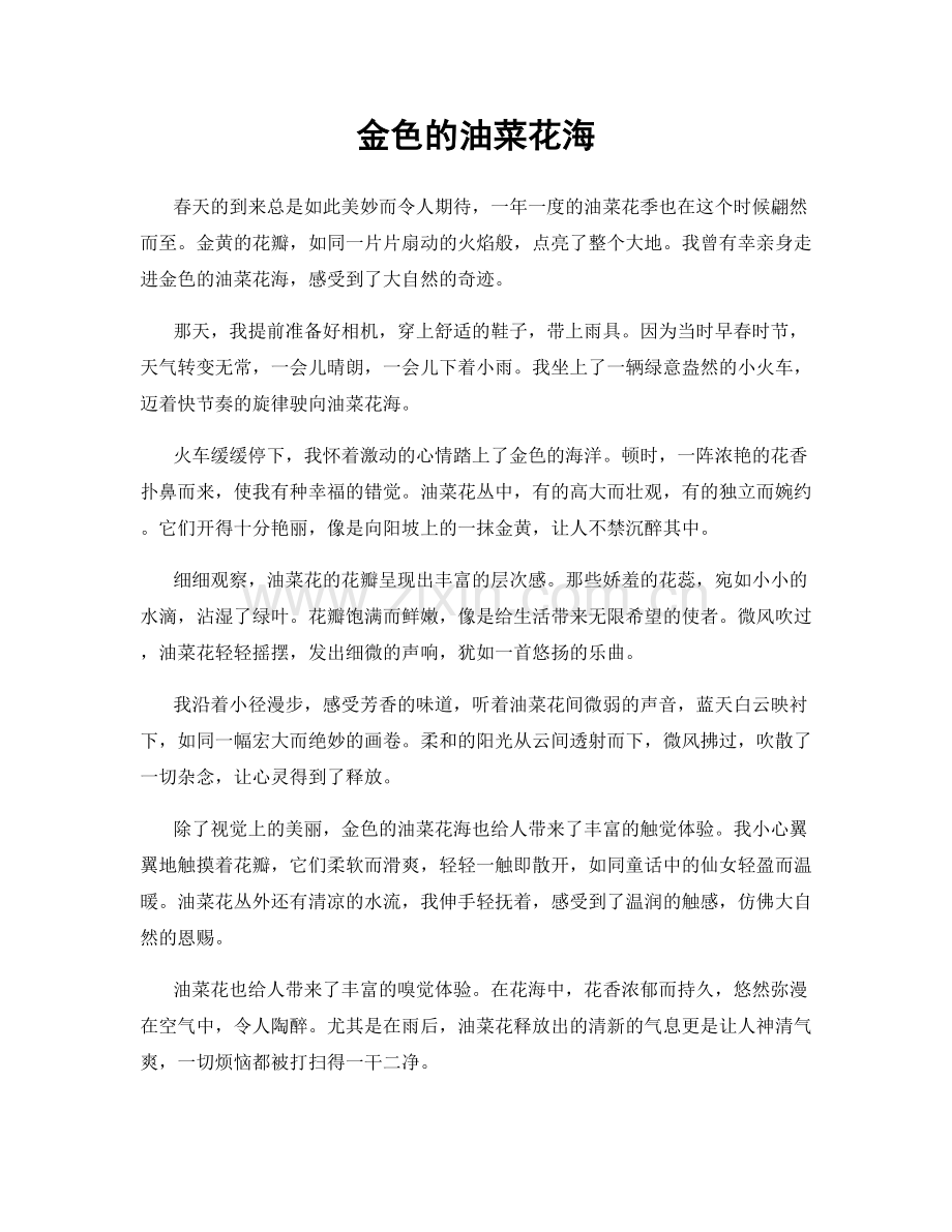 金色的油菜花海.docx_第1页