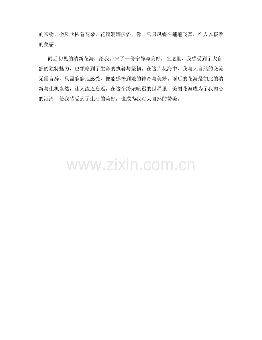 雨后初见的清新花海.docx_第2页