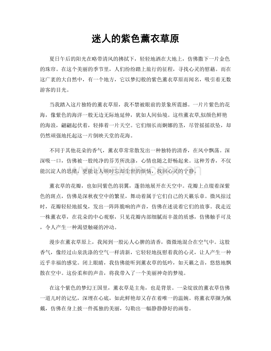 迷人的紫色薰衣草原.docx_第1页